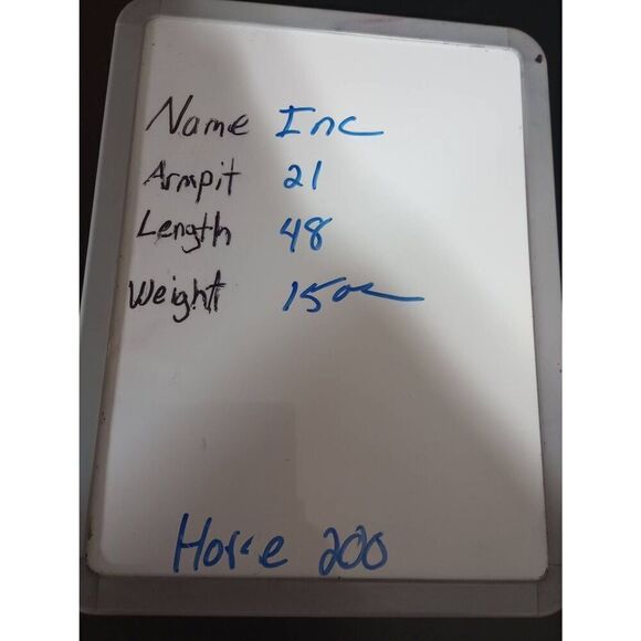 Inc International Concepts Dress Ladies 3x Sleeveless Beaded‎ - Picture 7 of 7